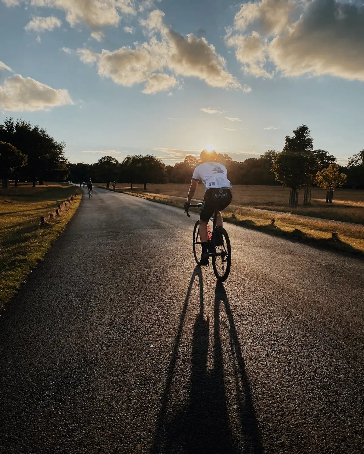 Ciclista ao nascer do sol numa estrada ladeada de árvores